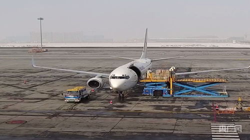 新疆國際貨運包機業(yè)務(wù)全面恢復，為國際物流注入新動能
