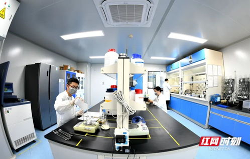 觀潮的螃蟹丨這個“國字號”會議為何選常德？探索生物科技領域的技術研發與轉讓新機遇